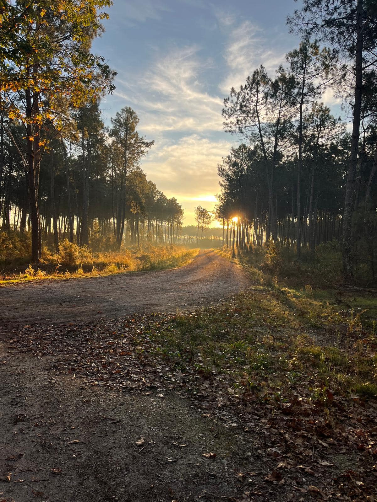 Cadre naturel du Medoc